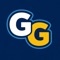 GameGuide AI